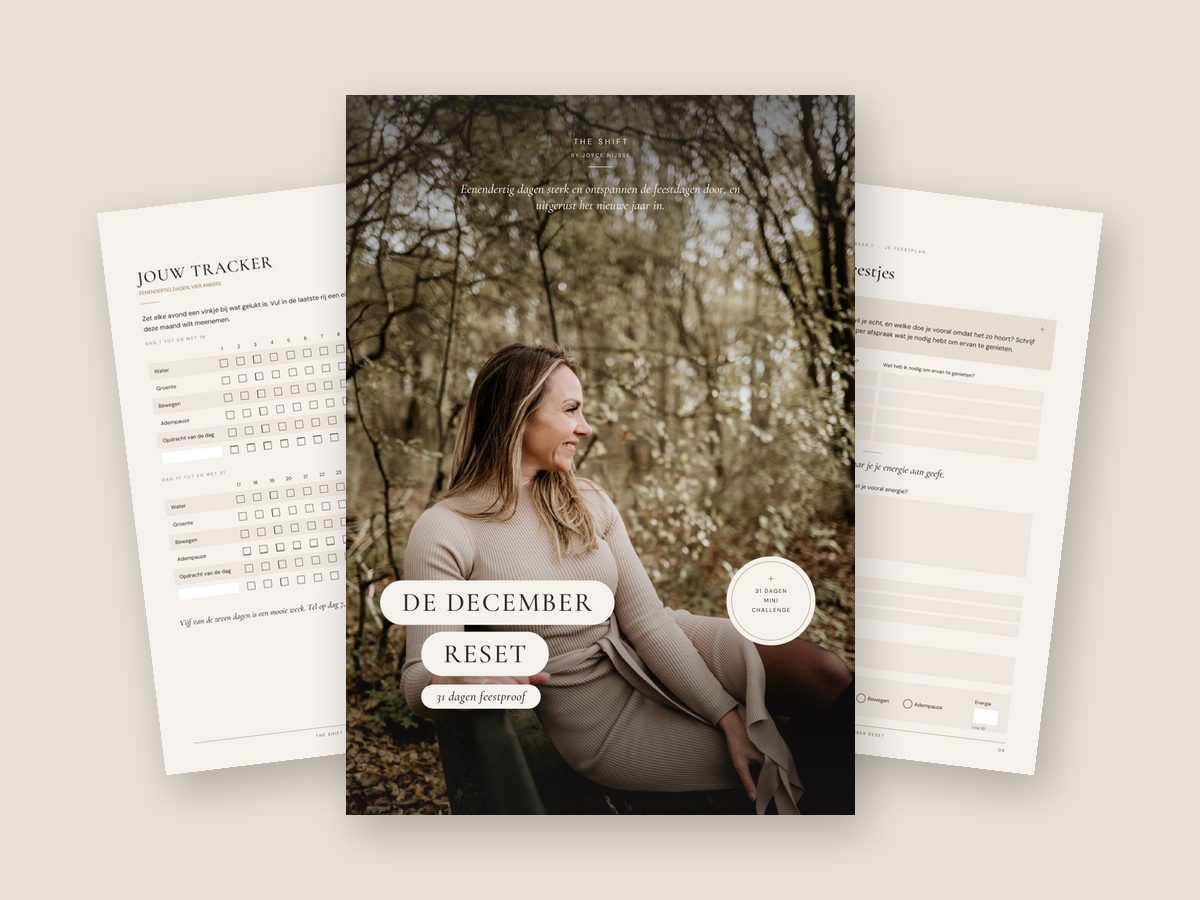 Het werkboek De December Reset