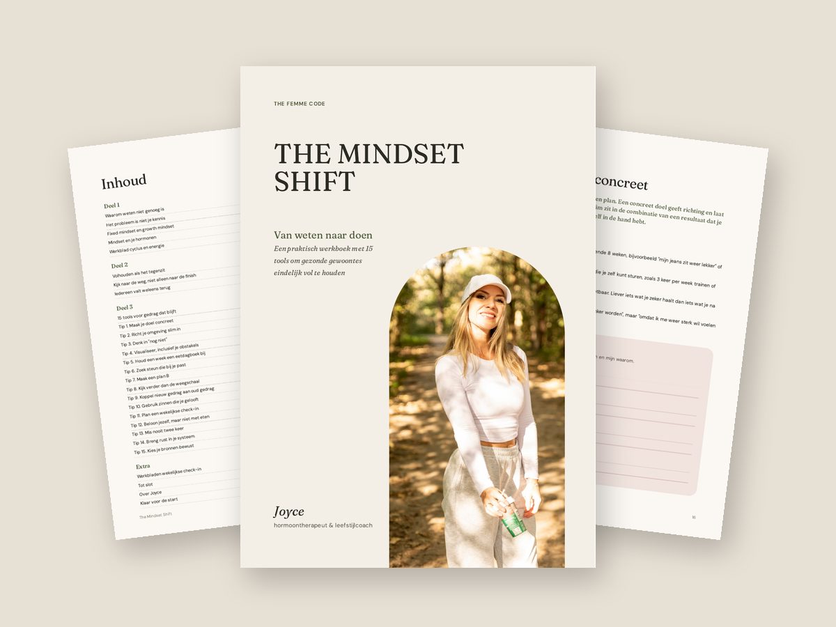 Het werkboek The Mindset Shift