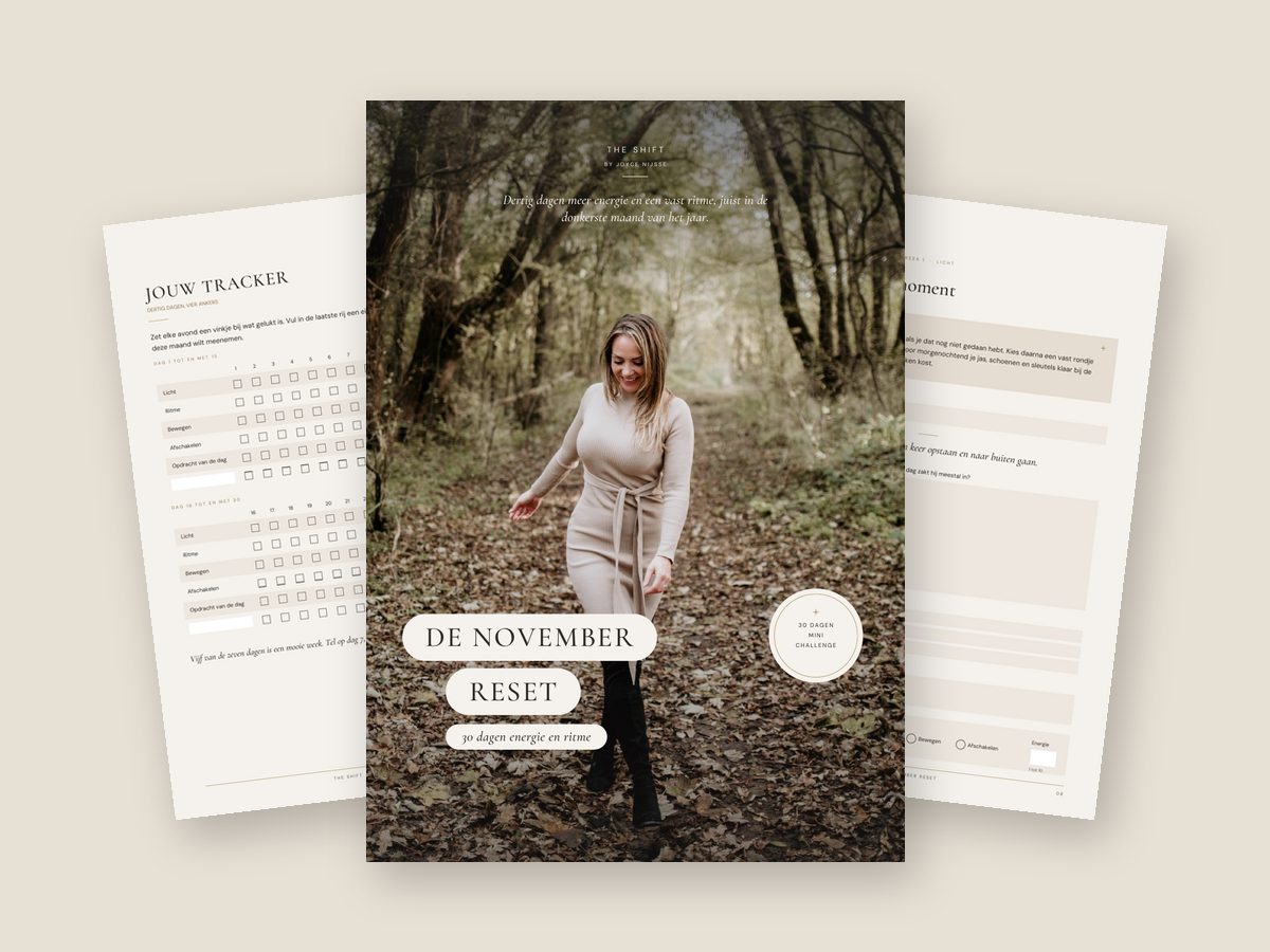 Het werkboek De November Reset